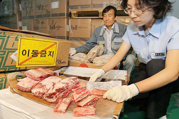BSE발견에따라미국산쇠고기에대한수입검역이강화된다.사진은지난2007년미국산쇠고기를검역하고있는모습.