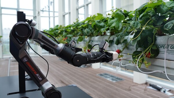 대동에이아이랩이 로봇팔을 이용해 딸기 농사를 짓고 있다. 사진=대동