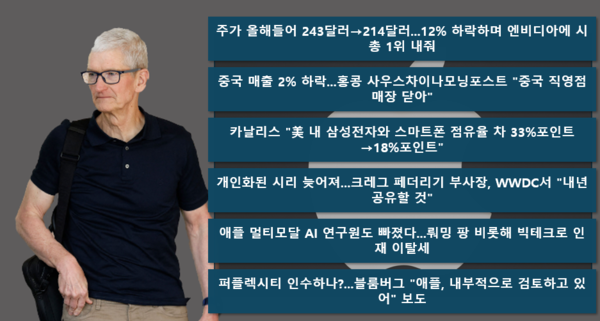팀 쿡 애플 최고경영자(CEO). 사진=AFP/연합뉴스