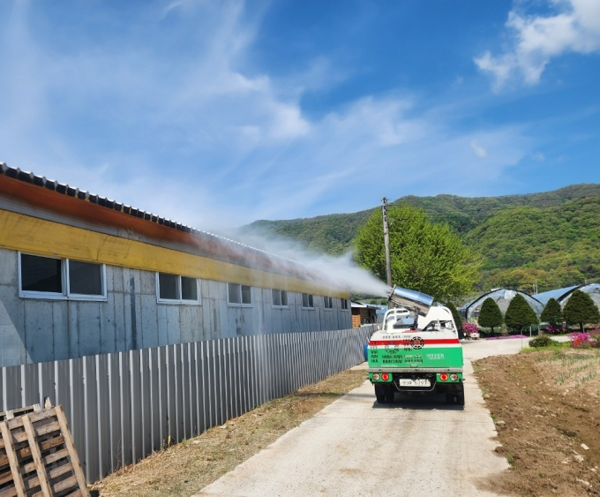 양돈농가에 소독을 하고 있다.  [사진=경기도]