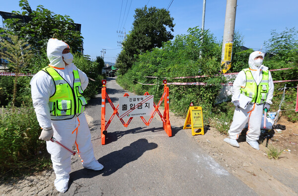 아프리카돼지열병(ASF) 중앙사고수습본부는 14일 경기 경기도 연천군 소재 양돈농장에서 ASF가 발생해 전국에 위기 경보 '심각' 단계를 발령했다. 사진=연합뉴스