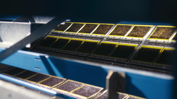 대상이 전통적인 식품회사의 경계를 넘나드는 도전으로 '미래 먹거리'를 위한 혁신 행보를 가속화하고 있다. 올해로 창립 69주년을 맞은 대상은 '전통의 맛'과 '미래 혁신'을 동시에 품은 기업이다. 순수 국내 자본과 기술로 출발해 세계 일류의 발효 기술을 확보한 대상은 지금도 한국을 대표하는 종합식품회사로 성장 궤적을 이어가고 있다. 사진=대상