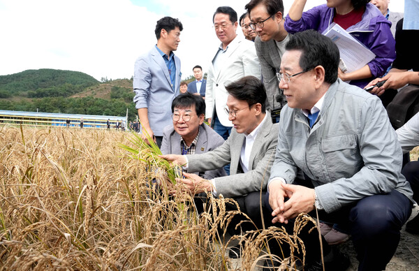 농림축산식품부(이하 농식품부)가 올해 이상고온 등으로 발생한 벼 깨씨무늬병을 농업재해로 인정하고 피해조사를 실시한다고 밝혔다. 김민석 국무총리(아래 오른쪽에서 두번째)가 지난 7일 전남 장흥군 안양면 해창리 일원을 방문해 '벼 깨씨무늬병' 피해 현장을 점검하고 있다. 사진=연합뉴스