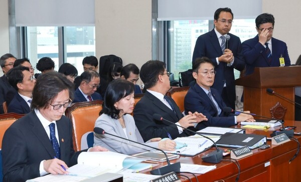 김범석 우아한형제들 대표가 14일 정무위원회 국정감사에 증인으로 출석해 발언하고 있다. 사진=연합뉴스