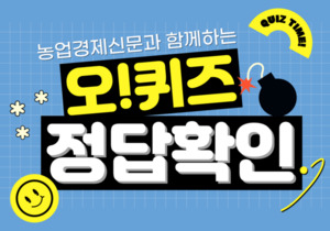 오퀴즈 및 최신 트렌드 정보